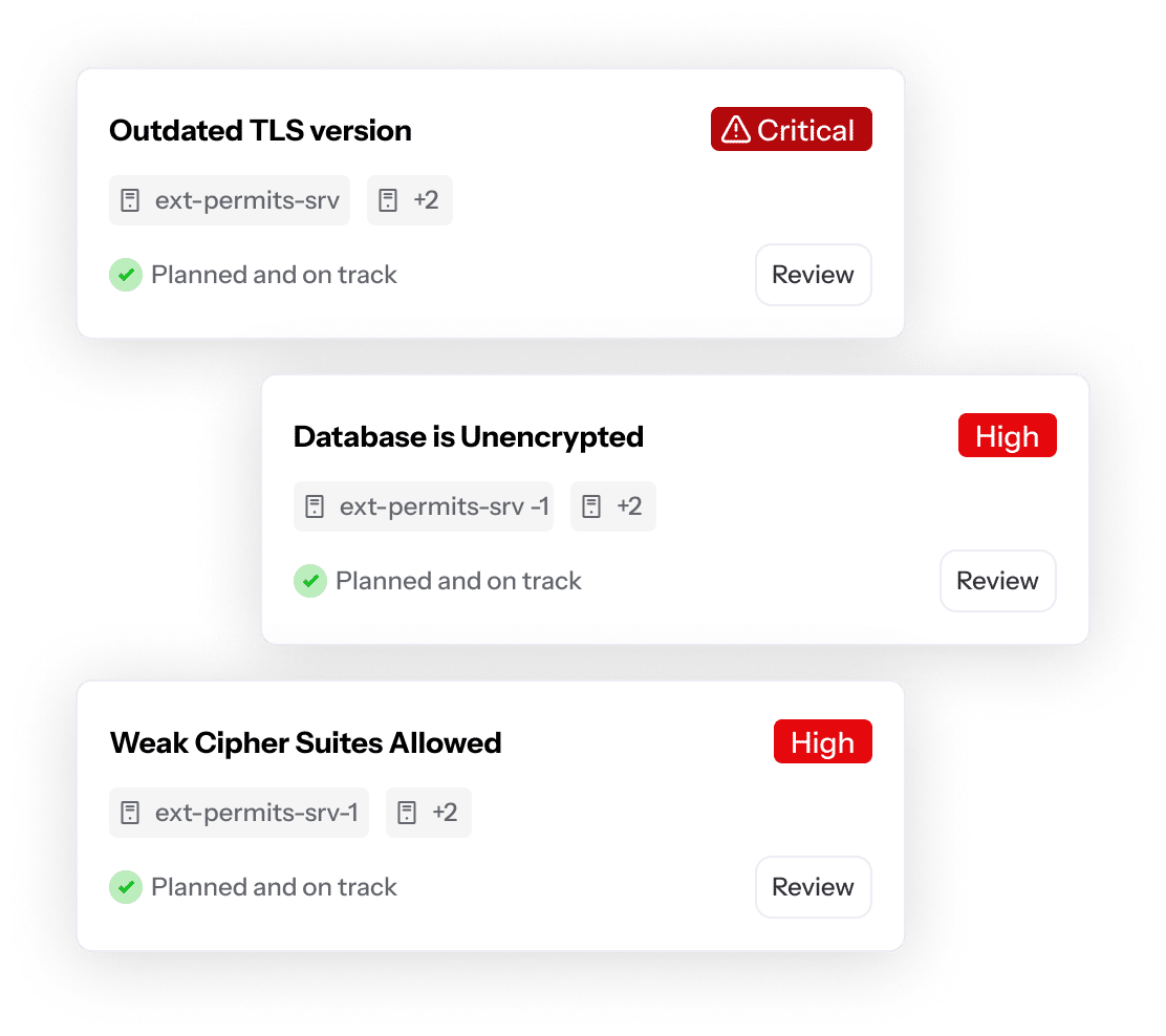 QIZ Insight cards